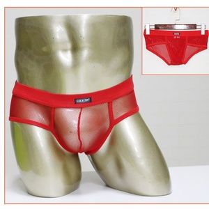 Red Mesh Brief